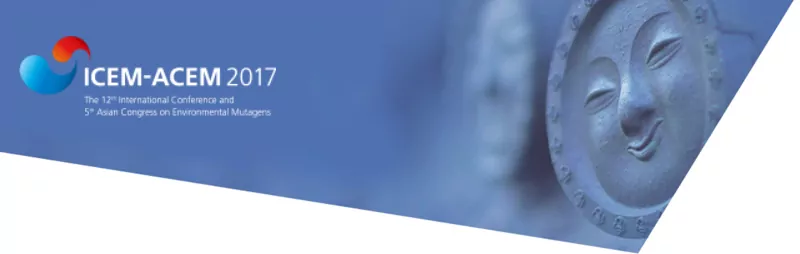 ICEM-ACEM 2017