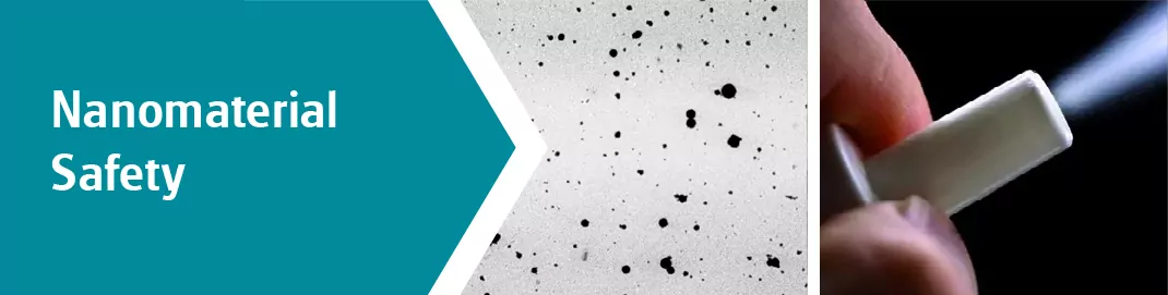 Nanomaterial Safety